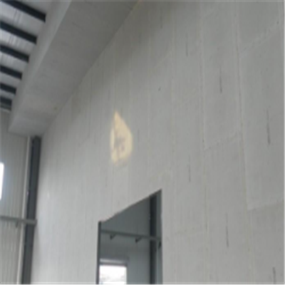 王宝强宁波ALC板|EPS加气板隔墙与混凝土整浇联接的实验研讨
